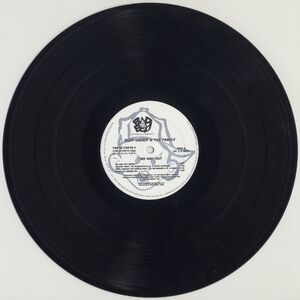 Puff Daddy Vinyl